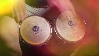 Bongos FREEJAC – Salve O Mar [on LP] by Sabrina Malheiros