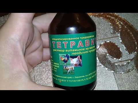 TETRAVIT VITAMINI SUPER VITAMINDIR CUCELER VE TOYUQLAR UCUN 2020