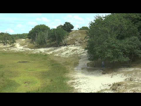 Schouwen-Duiveland, Zeeland Teil 4 - Burgh-Haamstede und die Zeepeduinen