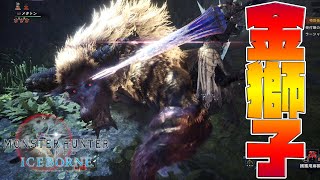 【MHWI】ラージャンに初見ランスで挑んだら・・・【モンスターハンターワールド　アイスボーン】