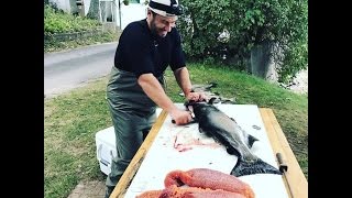 Рыбалка на лосось в карелии