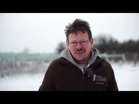 Tutorial zum Zuschnitt von Kirschbäumen