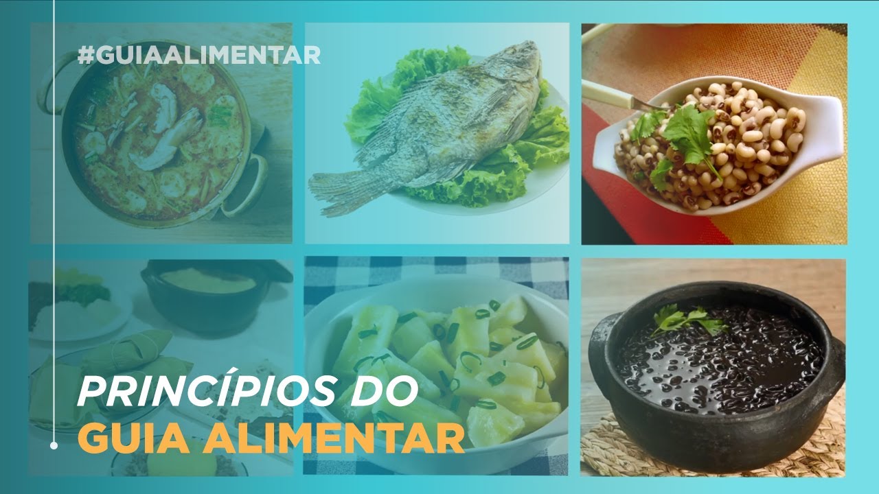 Princípios do Guia Alimenta para população brasileira
