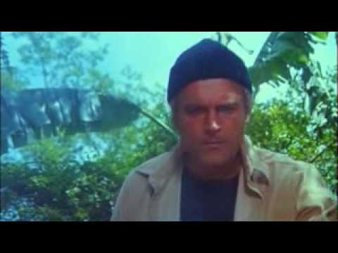 Movin' Cruisin' and Sunshine