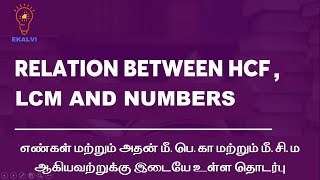 Top Mathematician Reveals BEST HCF and LCM Techniques