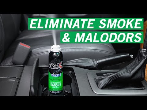 Remove Car Odor: NEW Odor-X Fresh Blast | Turtle Wax