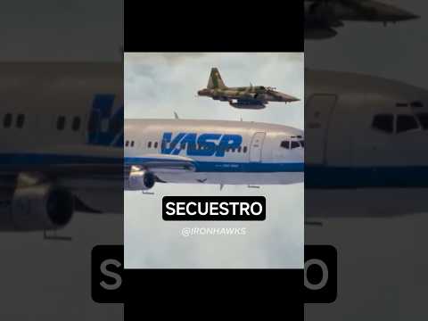 The hijacking of VASP flight 375