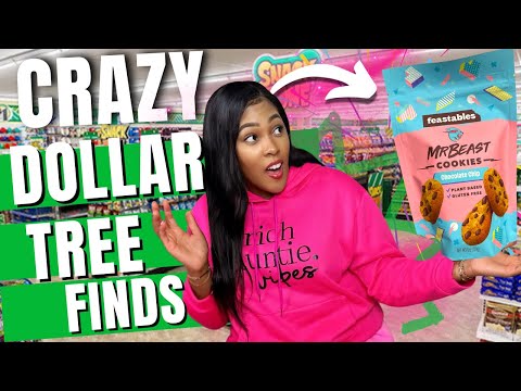 YOU WONT BELIEVE WHAT I FOUND AT DOLLAR TREE * NEW * RARE FINDS !