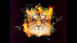 1. Ya Te Vele - Molotov  (El Mas Grande Homenaje A Los Tigres Del Norte)