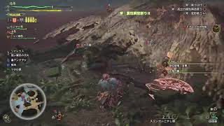 自分の配信