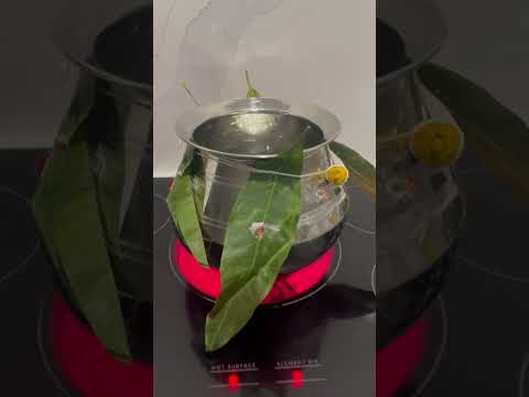 @VL-38 happy pongal everyone 🙏🎊 #happypongal