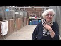 Paardenraces Alkmaar stilgelegd wegens financiële problemen