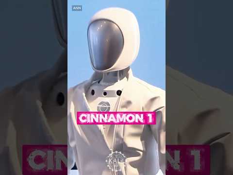 Cinnamon 1 Review Video 2