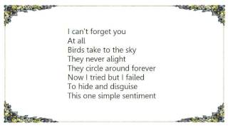 Cracker - I Can&#39;t Forget You Lyrics