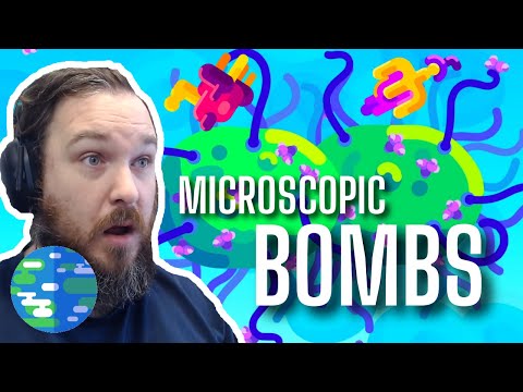 EXPLOSIVE Cells!! Tiny Bombs in Your Blood - The Complement System [Reaction]