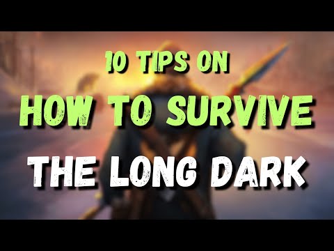 How to Survive in The Long Dark