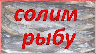 Солим рыбу. Жизнь в деревне.