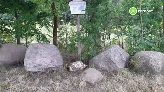 von Pönitz nach Taucha 20 August 2021