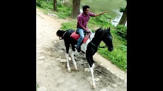 preview picture of video 'Horse riding'