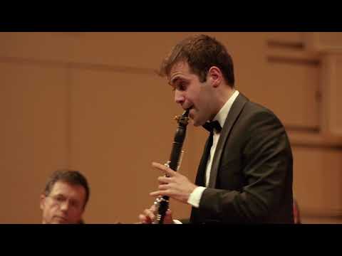 Sérgio Pires - F. Danzi - Fantasy on "Lá ci darem la mano" - Live Recording