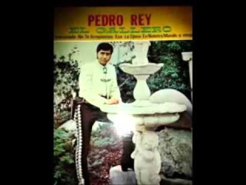 El Adiós a La Vida - Mariachi los Galleros de Pedro Rey