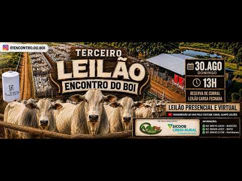 LEILÃO DE GADO  – GUAPO GOIÁS – 🐂 ENCONTRO DO BOI  - 30/08/2026