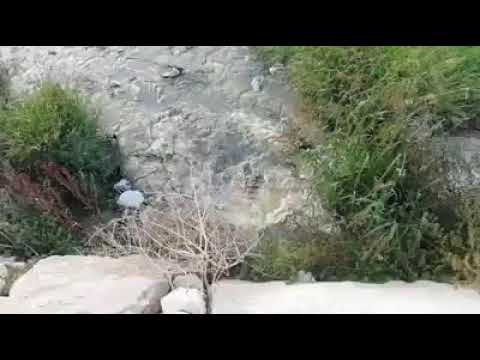 Di Giuseppe Marasco la pattuglia di servizio delle guardie #CIVILIS, abbiamo fatto la video denuncia