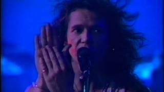 Icehouse - Man Of Colours