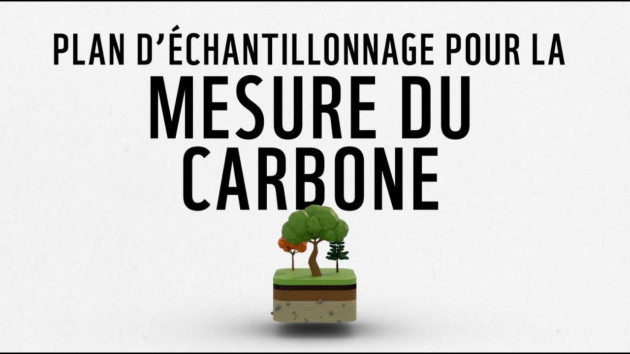 Formation technique sur la mesure du carbone | plan d’échantillonnage