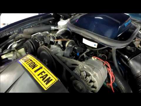 1981 Pontiac Firebird Trans Am (CC-1212106) for sale in Menifee, California