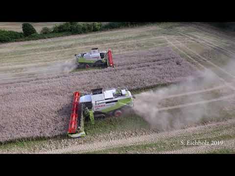 "Scherbda von oben" - Rapsernte 2019