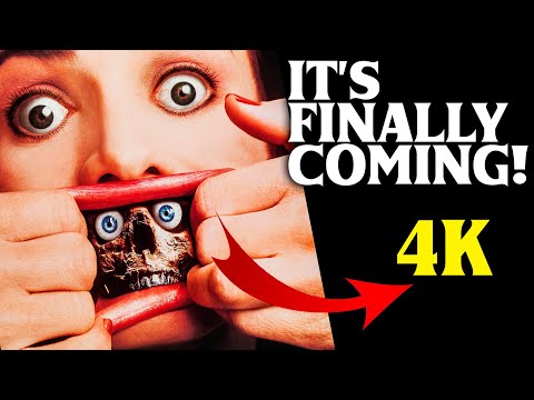 It's Finally Releasing! Dead-Alive 4K!