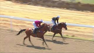 Double at Chelmsford for Team Hammersley. Zayin Zachilles achieves his 9th career win while Majid bi