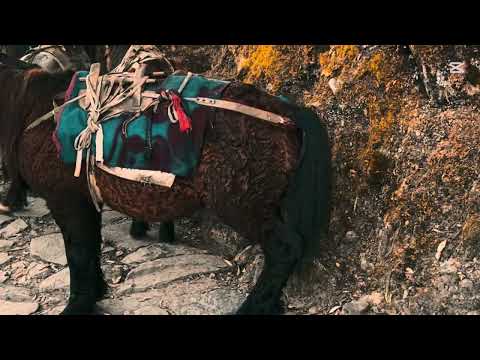 Ghandruk video ❤️ #nepal #ghandrukvillage #nepalisheaven #nature 