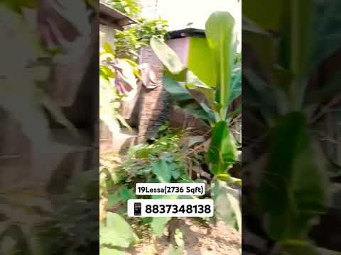  2736 Sq.ft. Residential Plot for Sale in Beltola, Guwahati