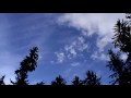 The Dreamer's Paradox