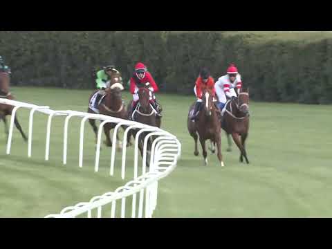 2022.09.18. 02. futam - KEZDŐ LOVAK VERSENYE (IV.kat.)