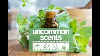Uncommon Scents Pitch Video V3