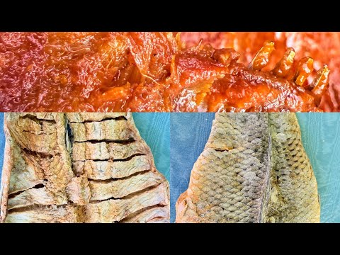 Mnogu Star recept/ Suv Krap so domaten sos/ very old recipe,Dry Fish / (Carp )with tomato sauce/