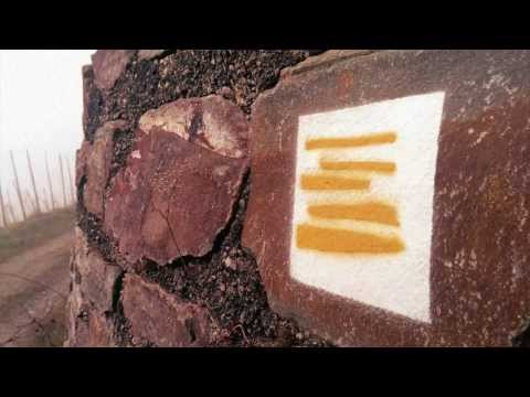 Moselsteig Etappe 18, Beilstein-Cochem