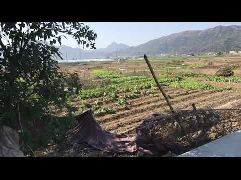 ShuiTou, China 18/02/2021 um passeio pela nossa casa na China.