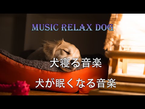 犬を寝かしつける