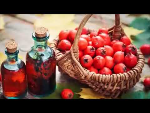 Health Benefits of Hawthorn Tea