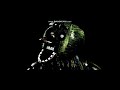 Phantom Chica S Jingle