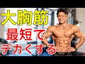 【大胸筋】大胸筋をデカくするならコレしかない!細かく解説!