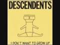 Descendents - In Love This Way