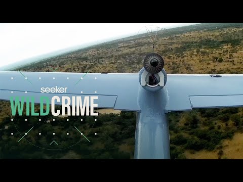 無人機如何打擊南非的偷獵行為? (How Drones Are Fighting Poaching in South Africa)