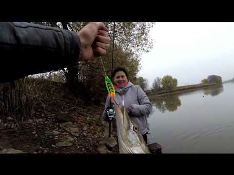 🇺🇦НАЛОВИЛИ ЩУКИ НА ЦЕЛЫЙ  АВТОКЛАВ | сделали рыбные консервы из щуки