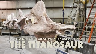 The Titanosaur: Coming to the Museum in January 2016