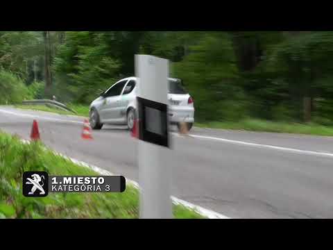 PROFITUNING CUP 2021 - Vl. HSF SYSTEM RACE JAHODNÁ - Košč Miroslav l Peugeot 206 RC